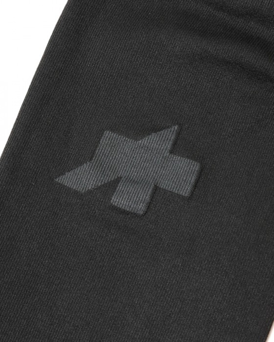 ASSOSレッグ ウォーマー【SPRING FALL LEG WARMERS P1】06l