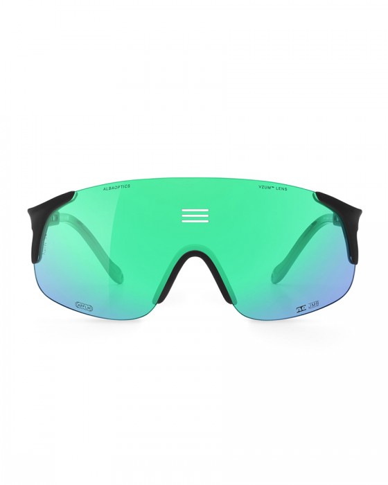 ALBA OPTICSジャンボ 調光グリーンミラーレンズ サングラス【JUMBO F-LENS BTL】04l