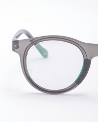 ALBA OPTICSアヌマレイ 調光グリーンミラーレンズ サングラス 【ANVMA LEI VZUM F-LENS BTL】mb_06l
