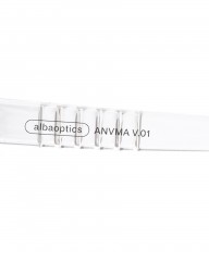 ALBA OPTICSアヌマV.01 シルバーミラーレンズ サングラス【ANVMA V.01 VZUM ALU】mb_11l