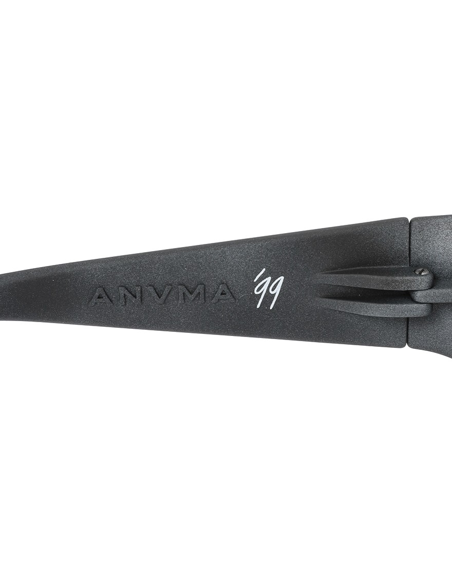 ALBA OPTICSアヌマ‘99 偏光グレーレンズ サングラス【ANVMA ‘99 VZUM POLAR】14l