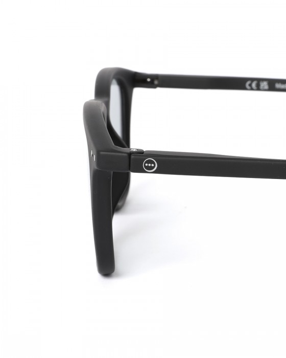 IZIPIZIサングラス 【SUN LIGHTCOLOR #E】11l