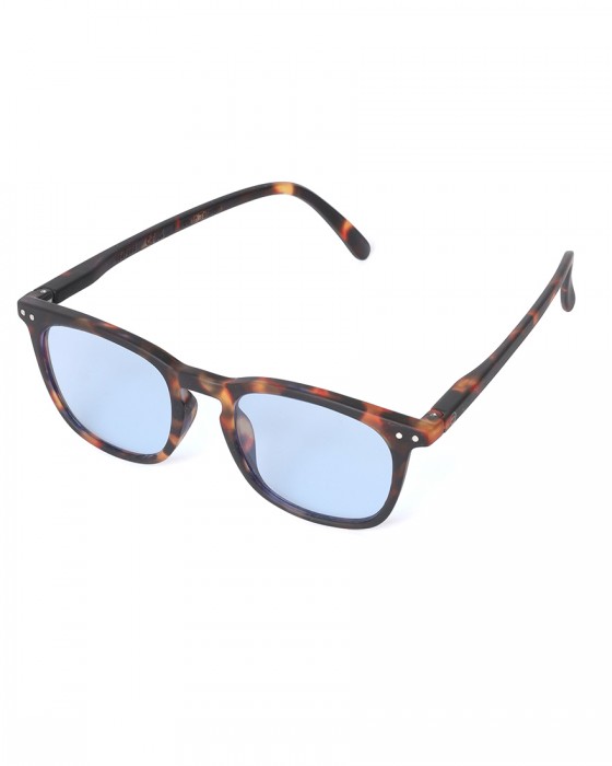 IZIPIZIサングラス 【SUN LIGHTCOLOR #E】c1