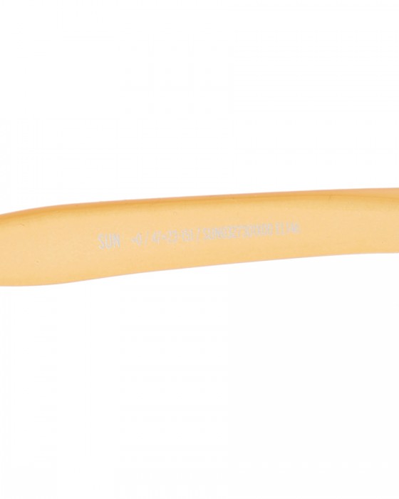 IZIPIZIサングラス【Chapters SUN #C】17l