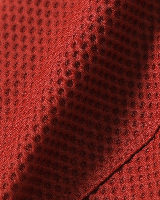 Isadoreレディースショートスリーブジャージ【Women's Echelon Jersey】14l