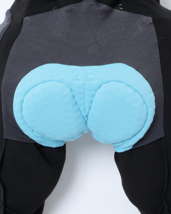 ASSOSウィンタービブタイツ【MILLE GT Winter Bib Tights GTO C2】17l