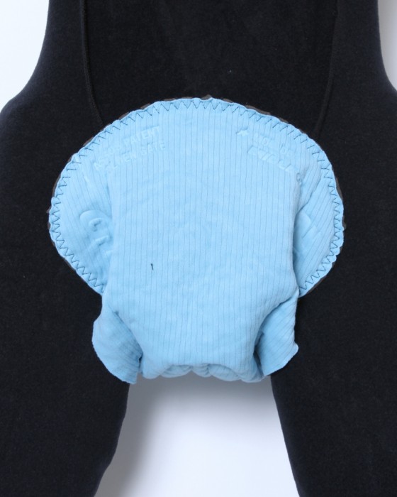 ASSOSビブニッカー【MILLE GT Spring Fall Bib Knickers C2】16l