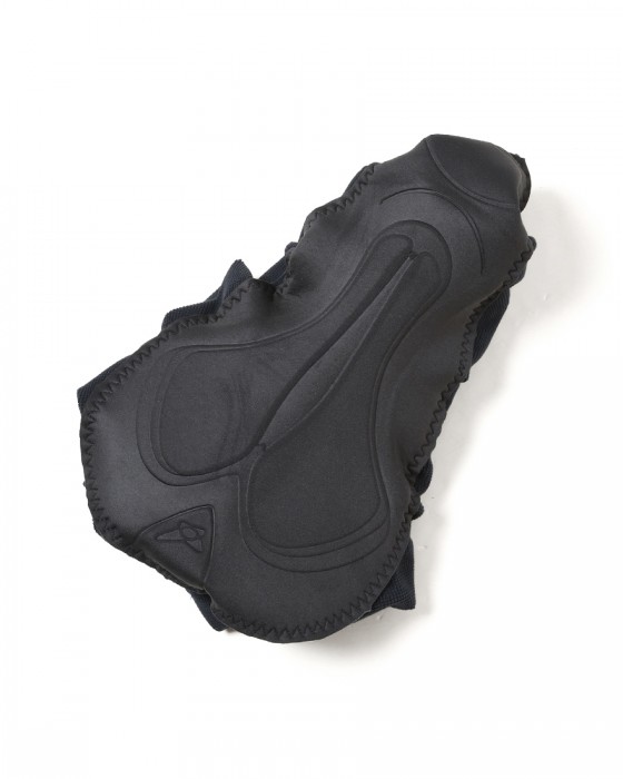 PAS NORMAL STUDIOSウィンター ビブショーツ【Mechanism Deep Winter Bibs】21l