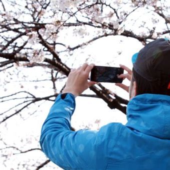 お花見ライドは、パッキングとレイヤードの使い手に聞け！